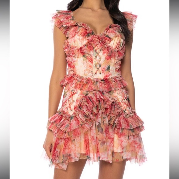 AKIRA Dresses Daydreamer Floralpleated Ruffle Minidress In Pink